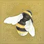 Bee Keeper icon