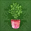 Master Decorator icon