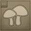 Mushroom Hunter II icon