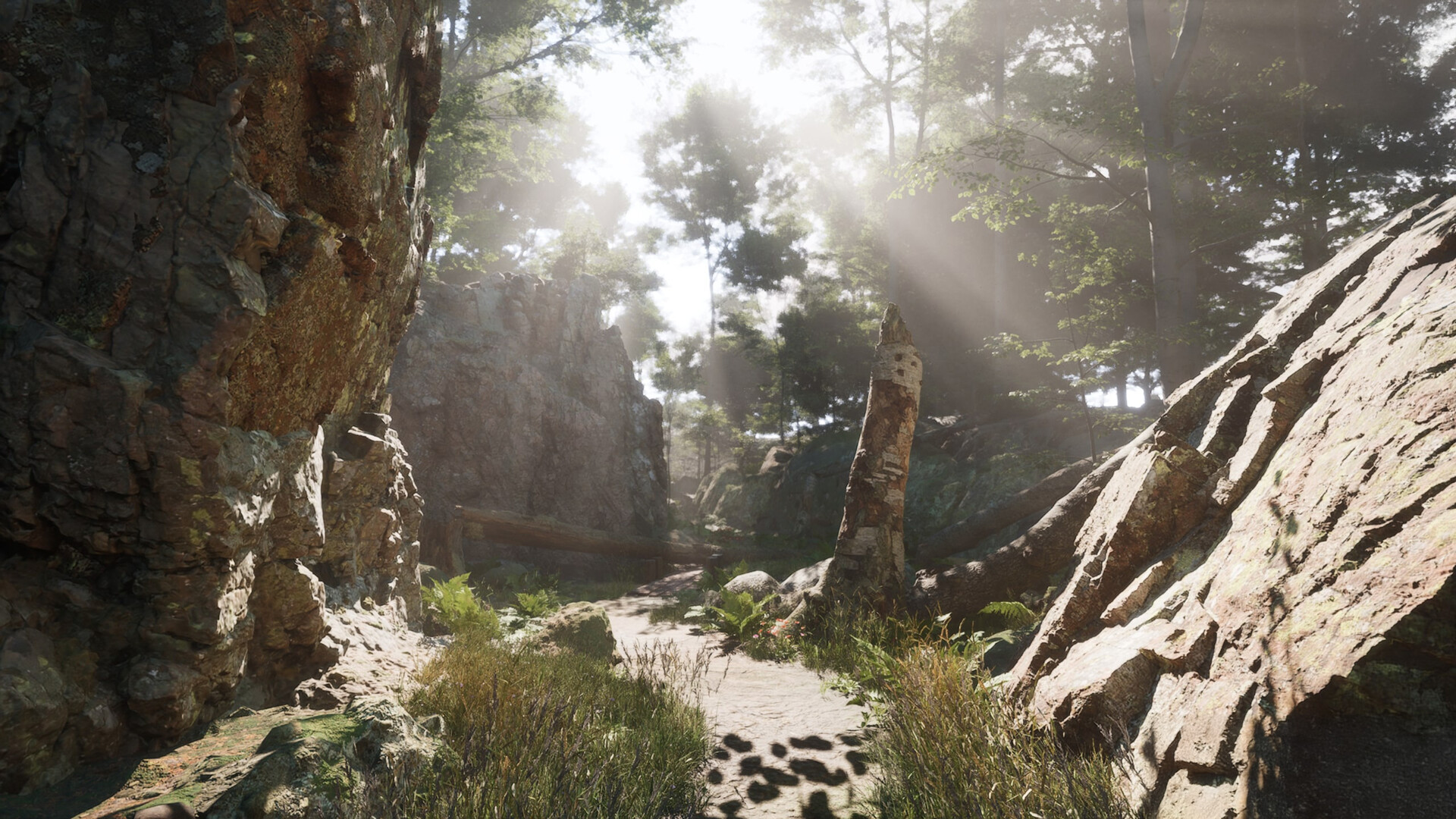 My Dear Emma Screenshot 1