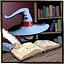 Master Wizard icon
