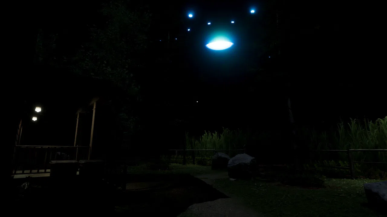 Confabulation: Homestead Screenshot 6