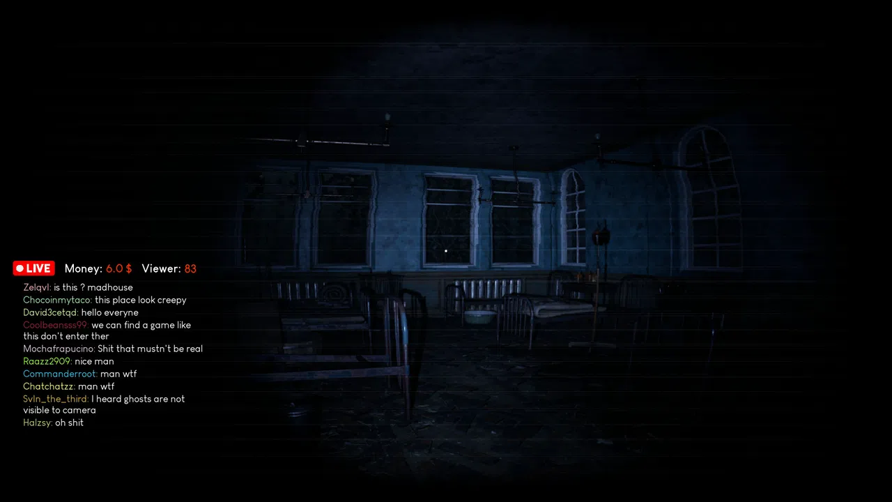 Madhouse Madness: Streamer's Fate Screenshot 1