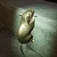 Expert Rat Collector icon