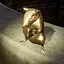 Master Rat Collector icon