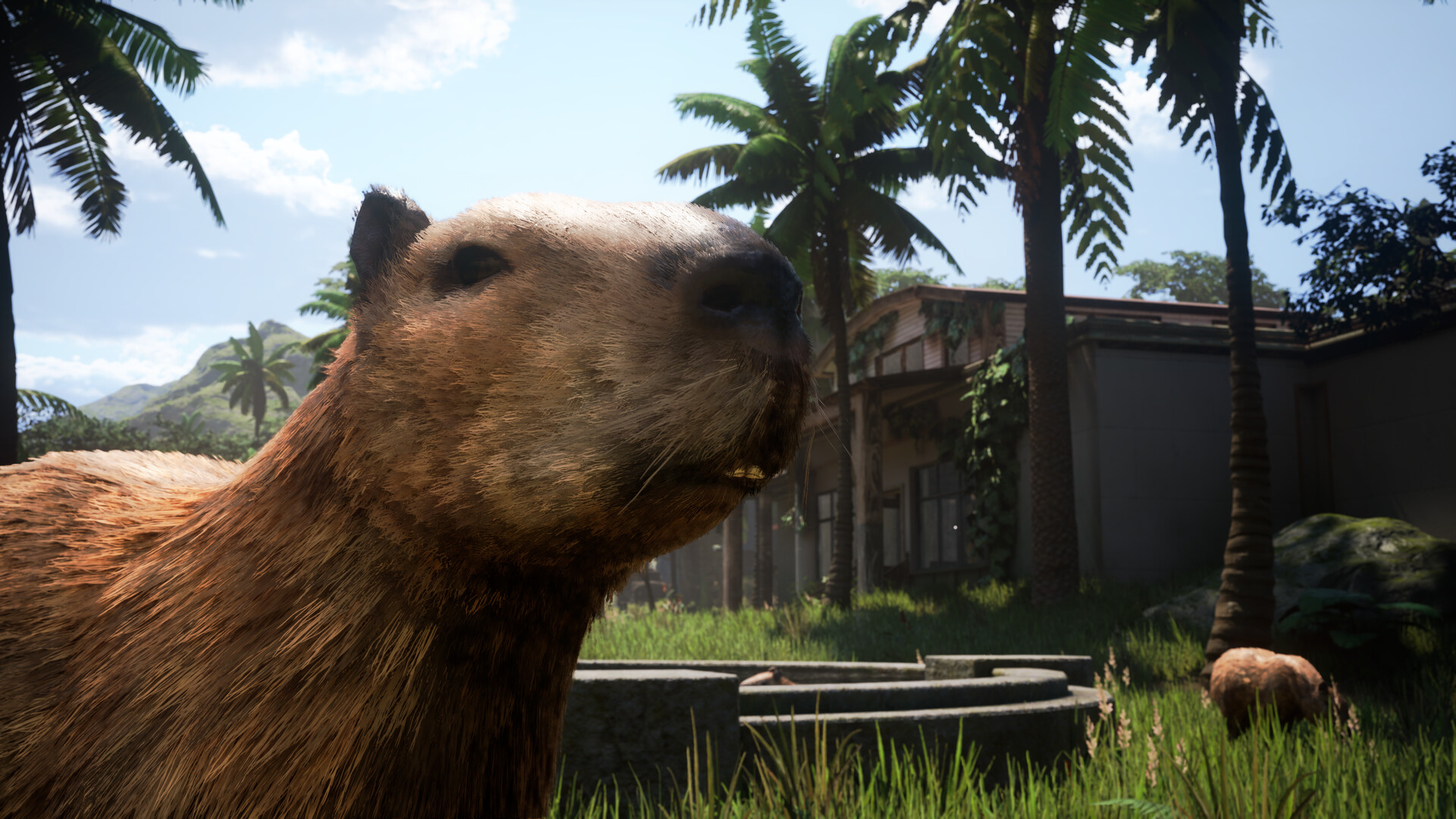 Airport Contraband Screenshot 0