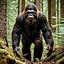 Finding Bigfoot icon