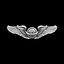 Navigator icon