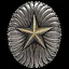 Regular icon