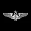 Senior Observer icon