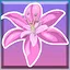 Lily Blossom icon