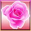 Rose Blossom icon