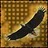The Ornithologist