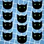 Found all cats icon