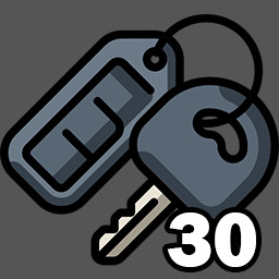 Own 30 Vehicles icon