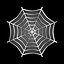 Spider Web icon