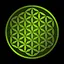 Flower Of Life icon