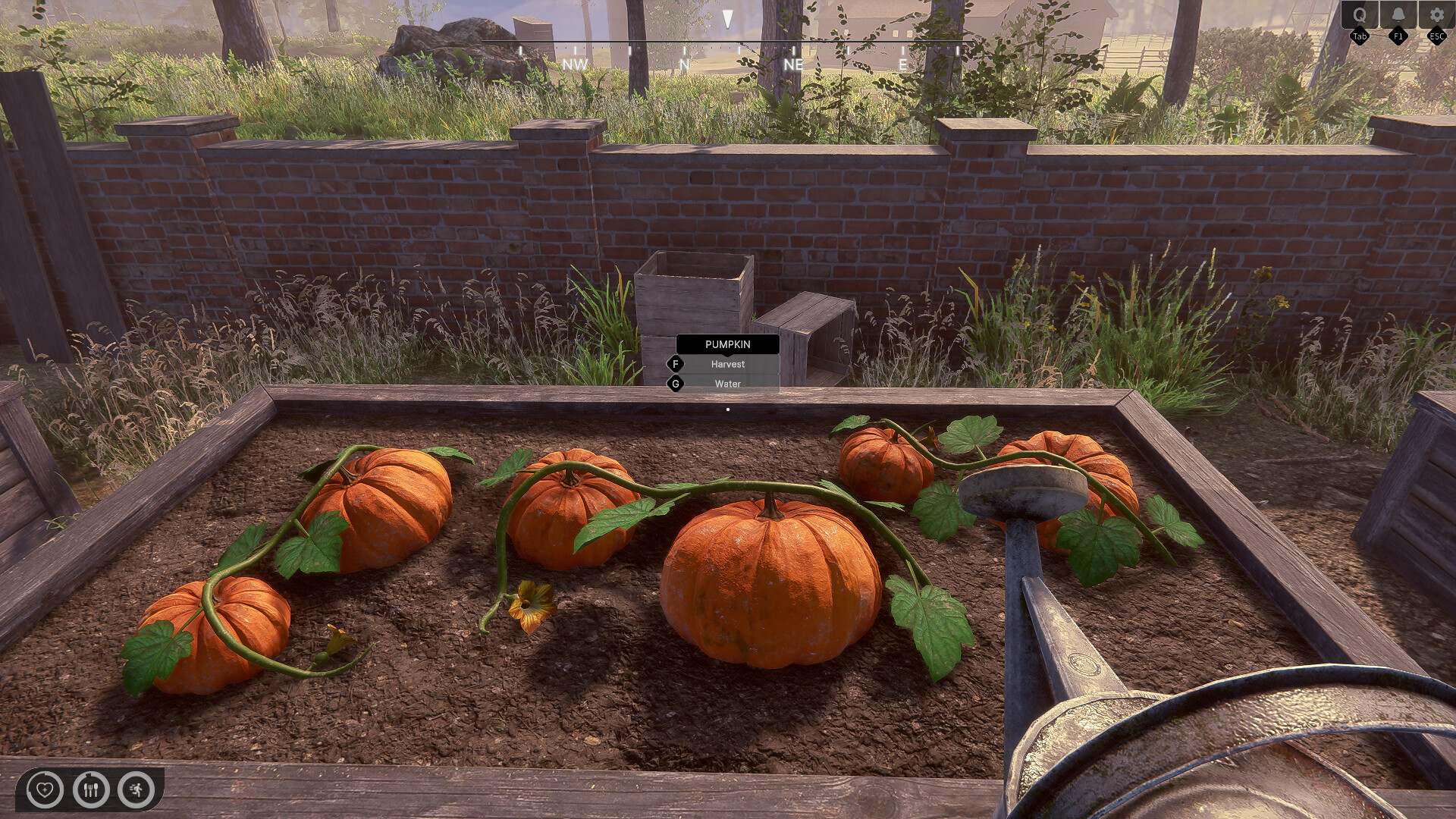 Rancher: A new life Screenshot 6