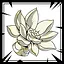 Lotus Lamp icon
