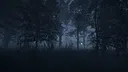 Cecil Hollow Screenshot 5