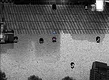 NOAH Demo Screenshot 2