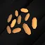 Nothing ever grows without a seed icon