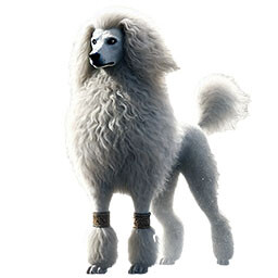 Poodle Overlord icon