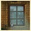 Rats of the sky icon