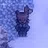 Police Dog Disguise
