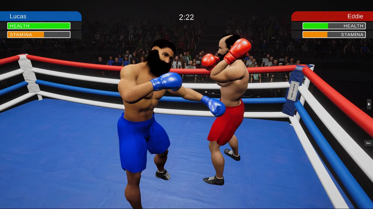 Boxing Simulator Screenshot 2