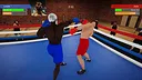 Boxing Simulator Screenshot 12