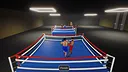 Boxing Simulator Screenshot 24