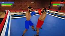 Boxing Simulator Screenshot 16