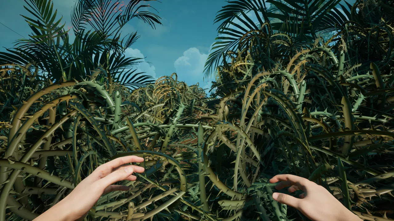 Canopy Screenshot 4