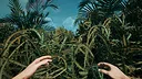 Canopy Screenshot 4