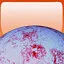 Get to the Infernal Realm Planet surface. icon