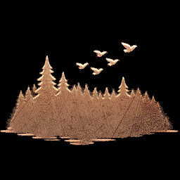 Master of Forest Birdwatching Vol -2 icon