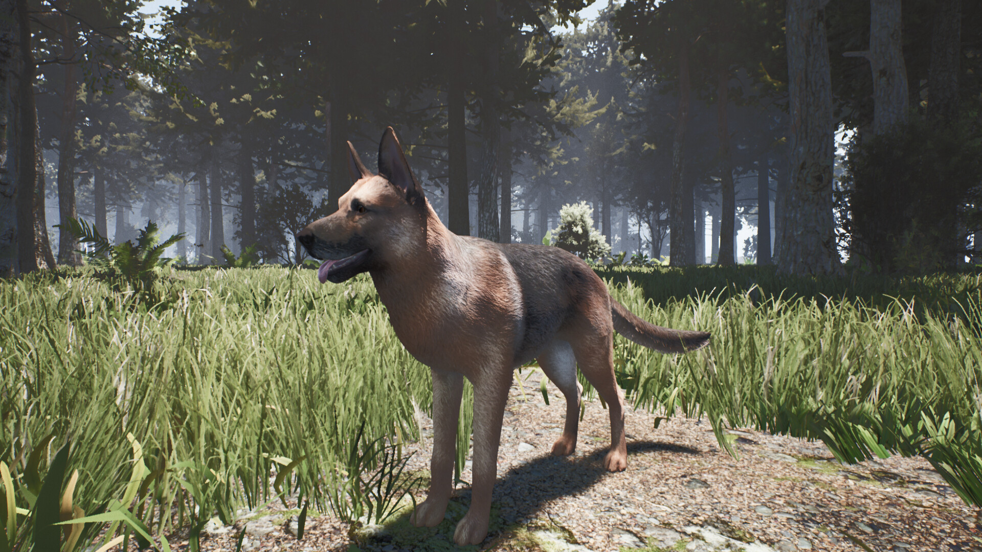 Alone on the Lost Isle Screenshot 6