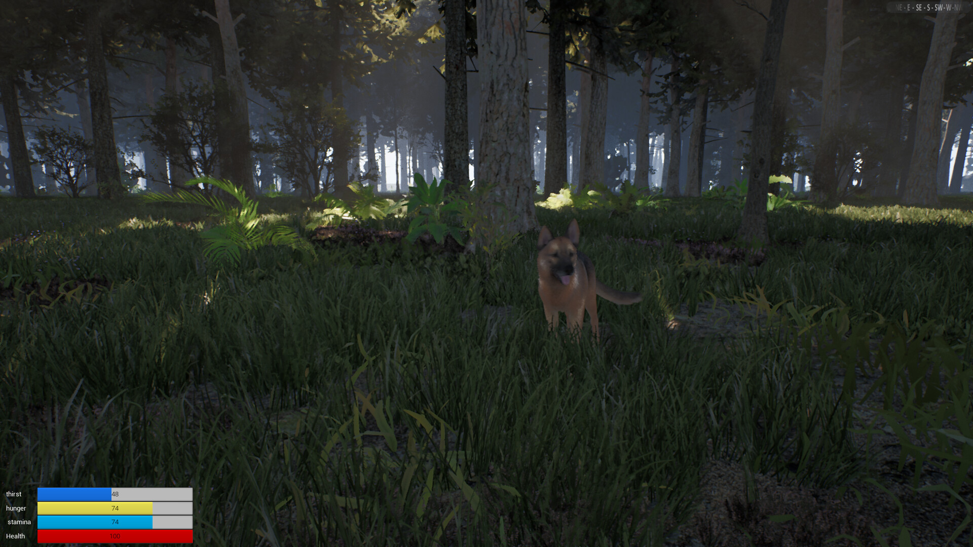 Alone on the Lost Isle Screenshot 2