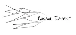 Causal Effect