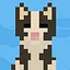 Who's a good boy? icon