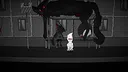 Provoron Screenshot 4