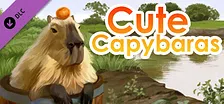Cute Capybaras - Digital Artbook + Bonus Videos