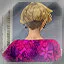 Complete level 23 icon