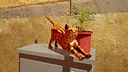 Catniptic Screenshot 0