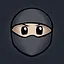 Ninja Mastery icon