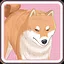 Dani icon