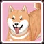 Apple icon