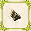 Avid Reader icon
