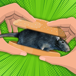 Turn a Rat into a Snack icon